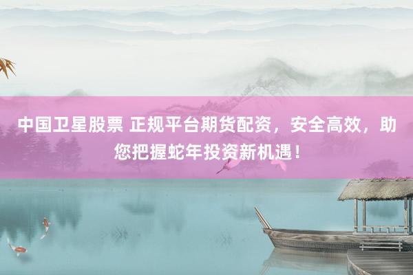 中国卫星股票 正规平台期货配资，安全高效，助您把握蛇年投资新机遇！