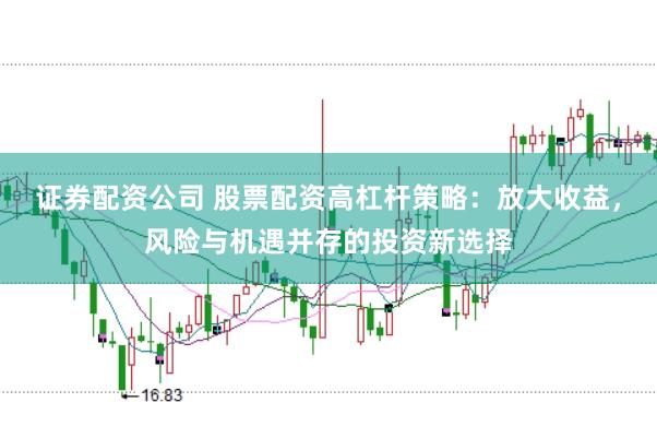 证券配资公司 股票配资高杠杆策略：放大收益，风险与机遇并存的投资新选择