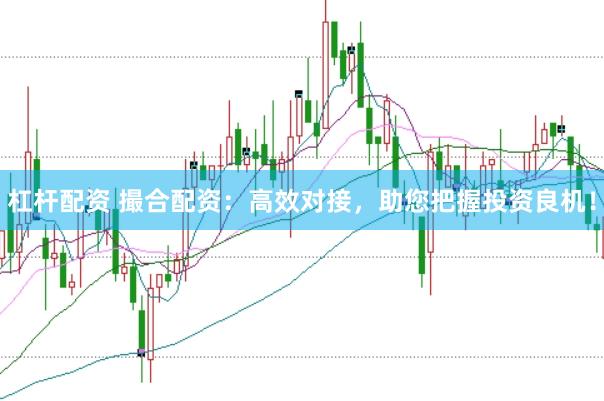 杠杆配资 撮合配资：高效对接，助您把握投资良机！