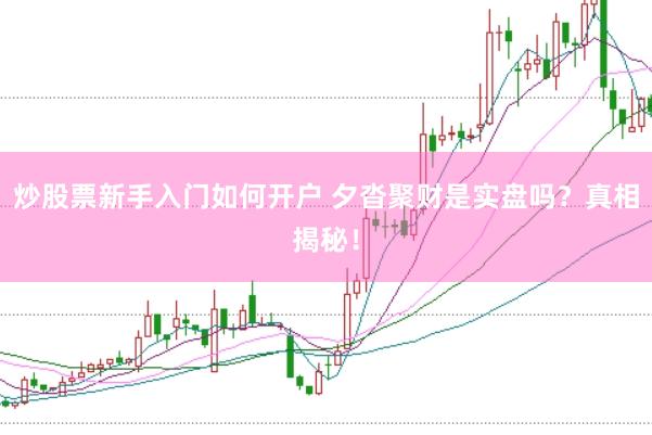 炒股票新手入门如何开户 夕沓聚财是实盘吗？真相揭秘！