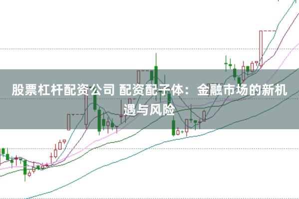 股票杠杆配资公司 配资配子体：金融市场的新机遇与风险