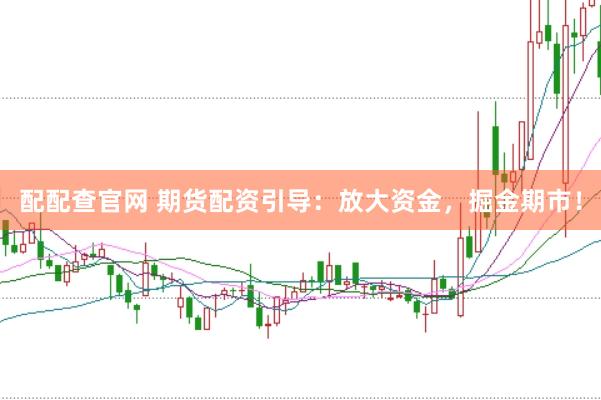 配配查官网 期货配资引导：放大资金，掘金期市！