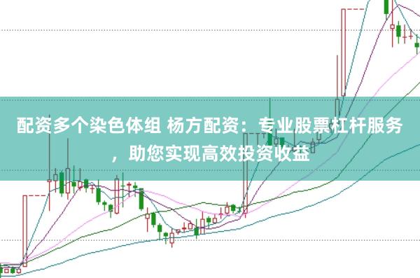 配资多个染色体组 杨方配资：专业股票杠杆服务，助您实现高效投资收益