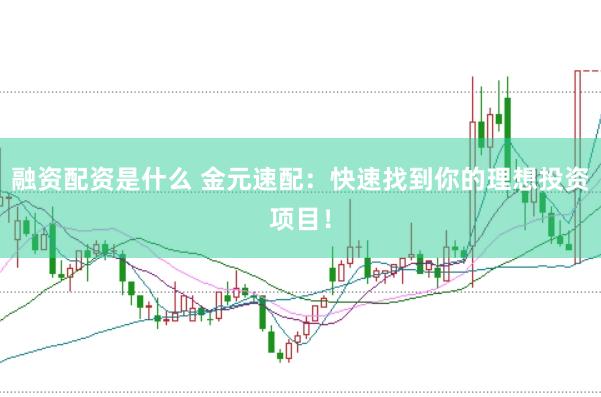 融资配资是什么 金元速配：快速找到你的理想投资项目！