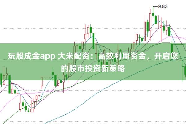 玩股成金app 大米配资：高效利用资金，开启您的股市投资新策略