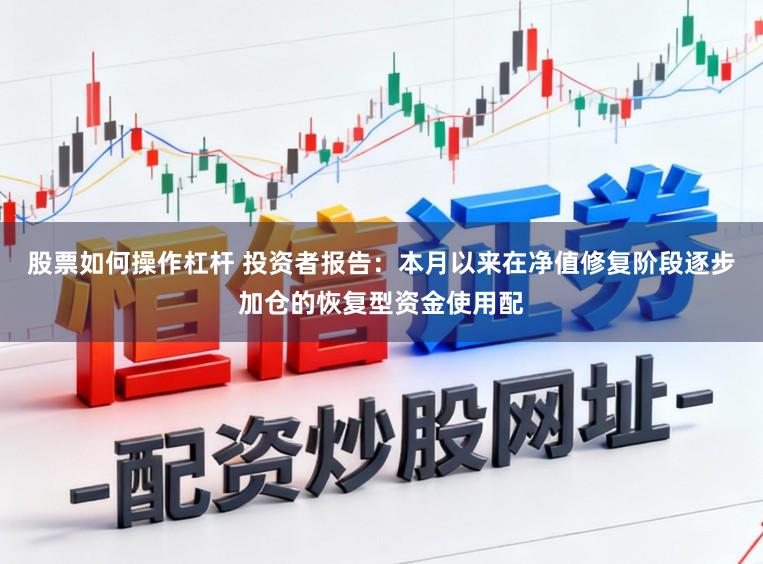 股票如何操作杠杆 投资者报告：本月以来在净值修复阶段逐步加仓的恢复型资金使用配