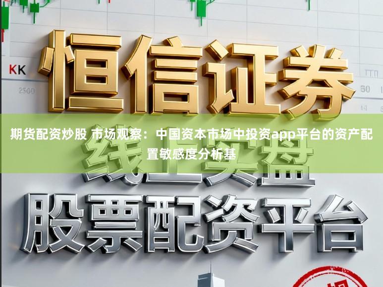 期货配资炒股 市场观察：中国资本市场中投资app平台的资产配置敏感度分析基