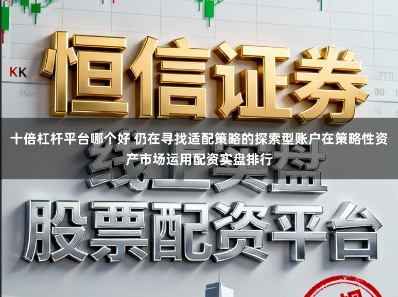 十倍杠杆平台哪个好 仍在寻找适配策略的探索型账户在策略性资产市场运用配资实盘排行