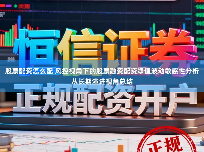 股票配资怎么配 风控视角下的股票融资配资净值波动敏感性分析从长期演进视角总结