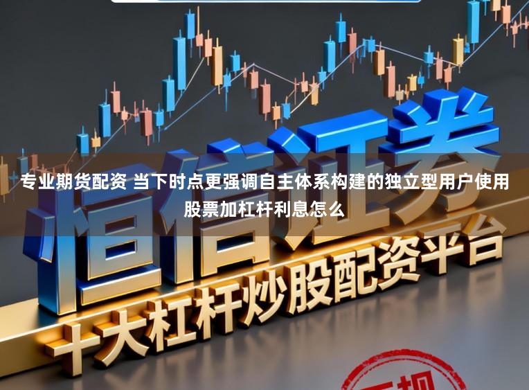 专业期货配资 当下时点更强调自主体系构建的独立型用户使用股票加杠杆利息怎么